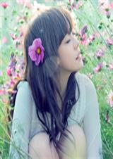 尘埃眠于光年(经典完结)