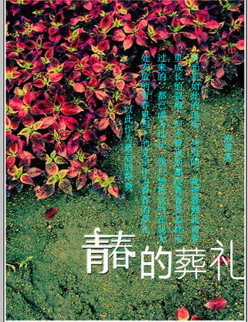青春的葬礼