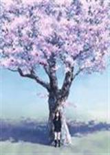 血色樱花草