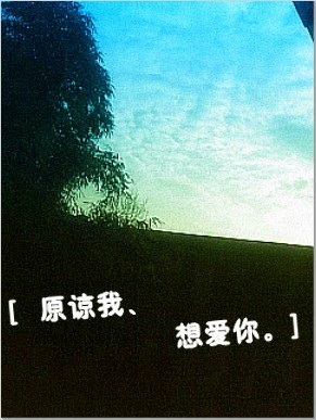 原谅我、想爱你