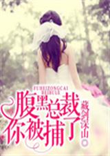 腹黑总裁,你被捕了