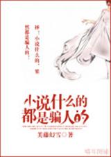 小说什么的都是骗人的