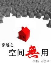 穿越之空间无用