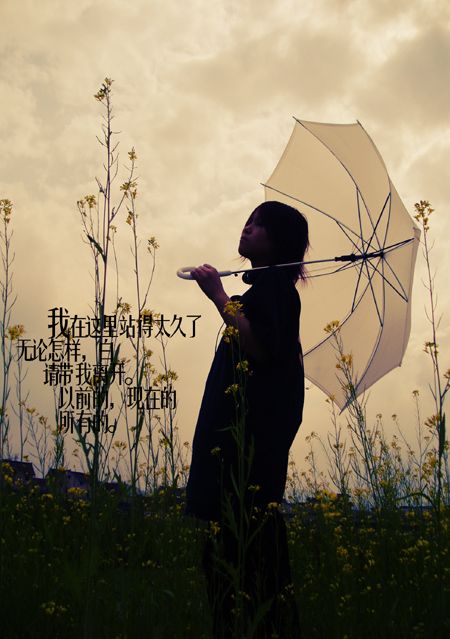 空姐的梦