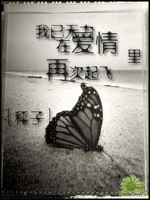 爱情悄然