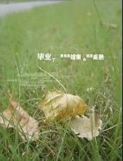 青春已成碎片