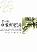有一种爱情叫兄弟Ⅱ