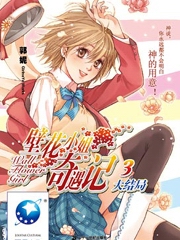壁花小姐奇遇记3