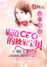 豪门盛宴:霸道ceo的独家宝贝