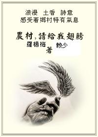 农村,请给我翅膀