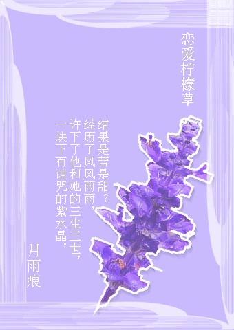 恋爱柠檬草
