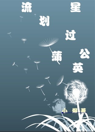 流星划过蒲公英
