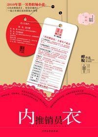 内衣推销员