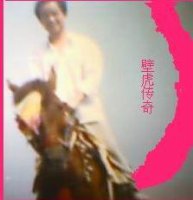 壁虎传奇
