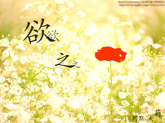 欲之