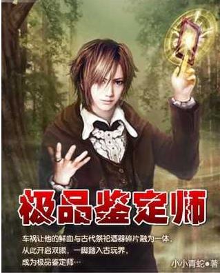 极品鉴定师(全文番外)