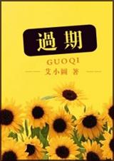 过期(出书版)