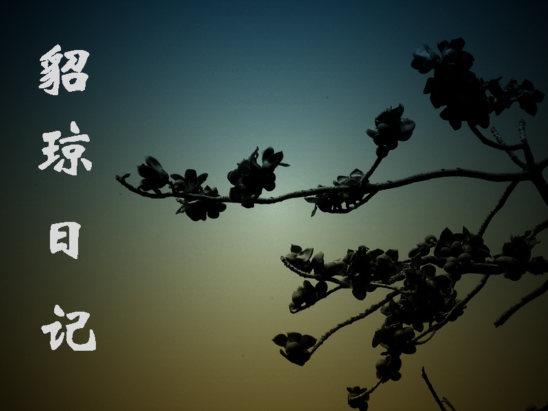 貂琼日记