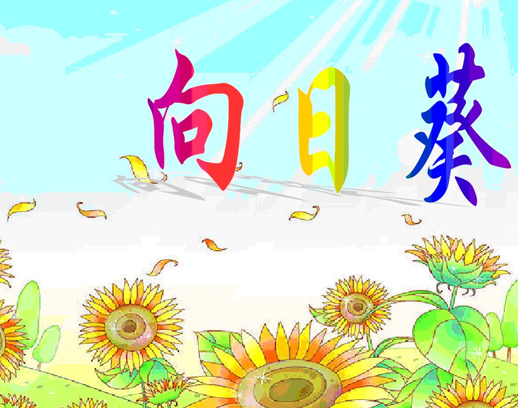 向日葵