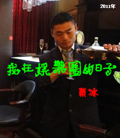 我在娱乐圈的日子