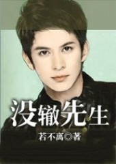没辙先生