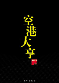 空港大亨
