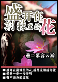 盛开在荆棘里的花