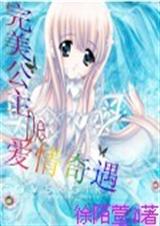 完美公主的爱情奇遇