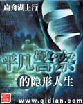 平凡警察的隐形人生