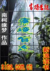 癔境官途