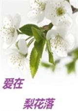 爱在梨花落
