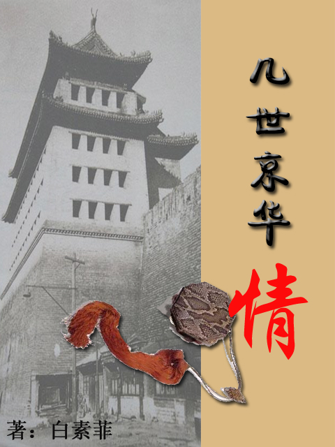 几世京华情