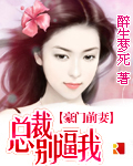 豪门前妻:总裁别逼我