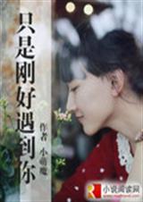 只是刚好遇见你