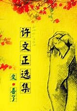 许文正选集 完结