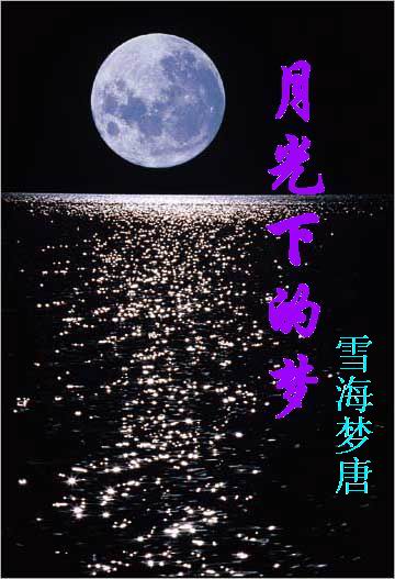 月光下的梦