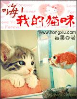 嗨,我的猫咪