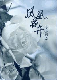 凤凰花开(网络版)