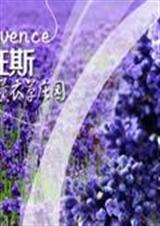 守护天使之林轩篇