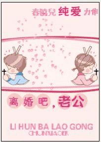 离婚吧,老公 晋江VIP完结