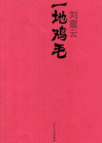 一地鸡毛·新兵连·头人