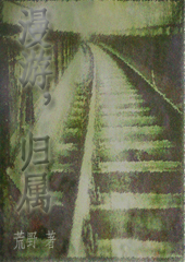 漫游,归属