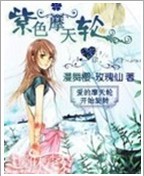 紫色摩天轮
