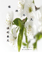谁的冬天、谁的春天