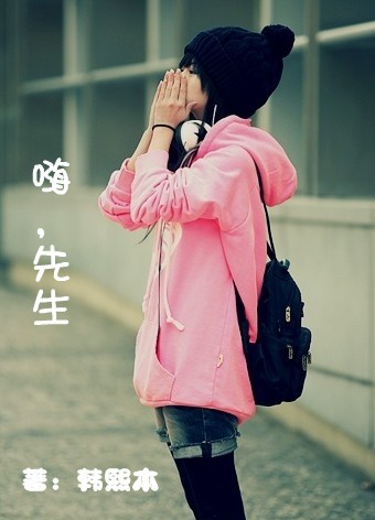 嗨,先生