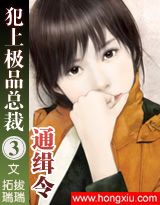 惹上首席总裁之犯上极品总裁(完结)