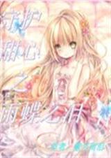 守护甜心之雨蝶之泪