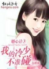 婚心计③:我的冷少,不许碰