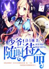 少爷!随时待命