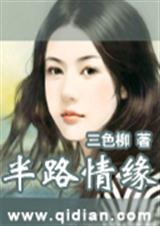 半路情缘